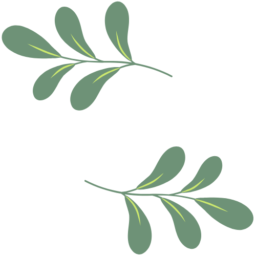SennaeFolium